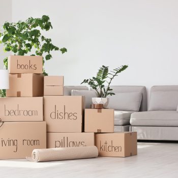 Pile of moving boxes and household stuff in living room Personal Effects learn more >