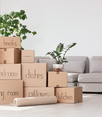 Pile of moving boxes and household stuff in living room Personal Effects learn more >